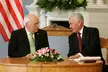 Valdas Adamkus and U.S. Vice President in dark suits with ties sitting at a wooden table with a floral arrangement