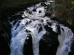 The River Braan at The Hermitage, featuring white waterfalls and rapids flowing over dark rocks in a forest landscape.
