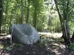Dudley Rock, a large grey boulder in a sun-dappled forest with tall green trees.