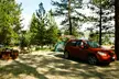 Campsite at Monck Provincial Park