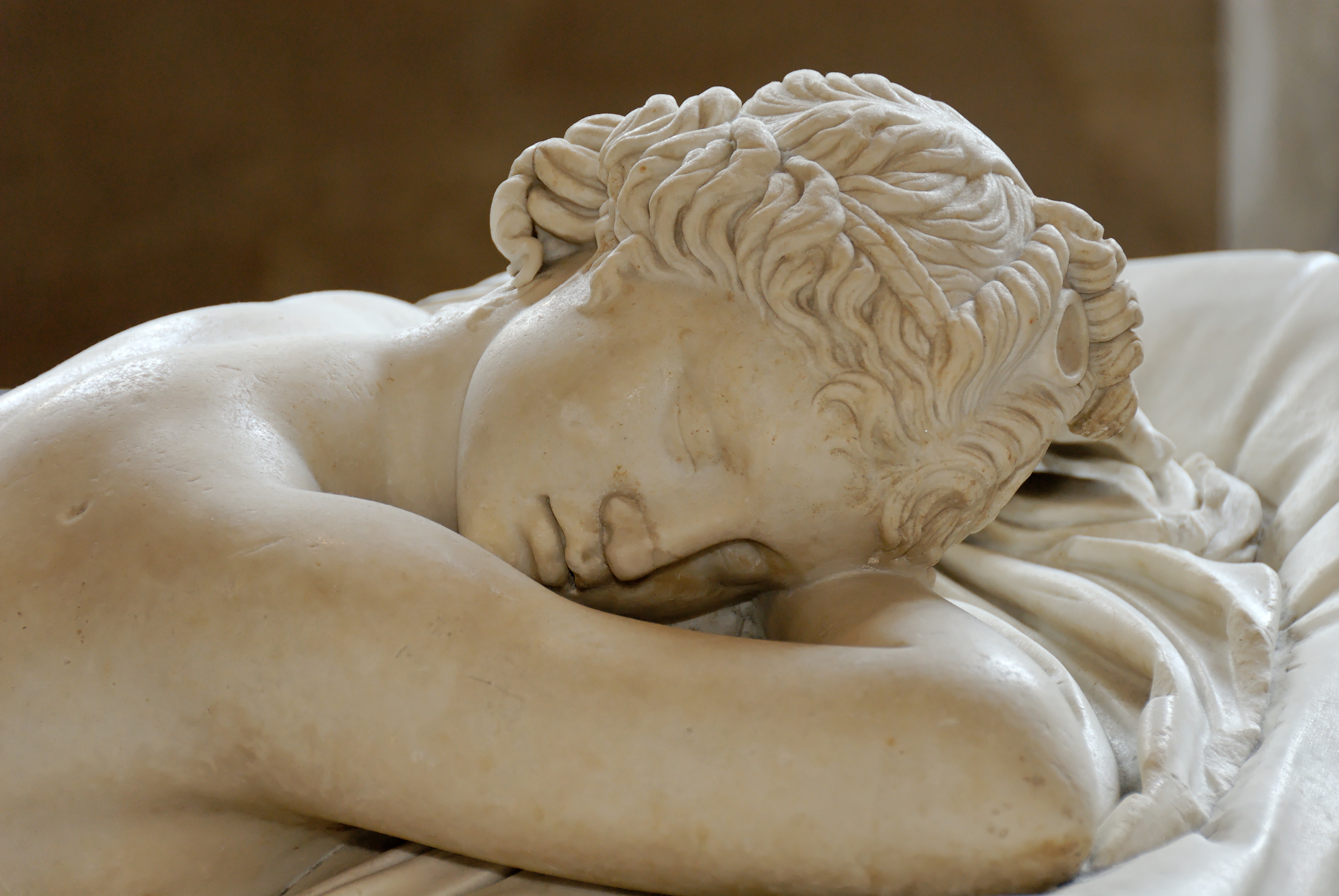 Sleeping Hermaphroditus
