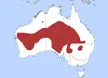 Kultarr distribution map showing a red shaded region across the central and western interior of Australia