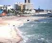 A large bird flying over a Corpus Christi beach with city skyline buildings and a harbor in the background.