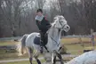 Country girl in a black helmet and striped scarf riding a white horse through a field with a wooden fence