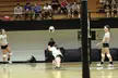 Three volleyball girls in athletic wear and white shirts on an indoor court with a ball in the air.