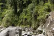Athletic shirtless man in dark shorts jumping through a lush green forest over large rocks