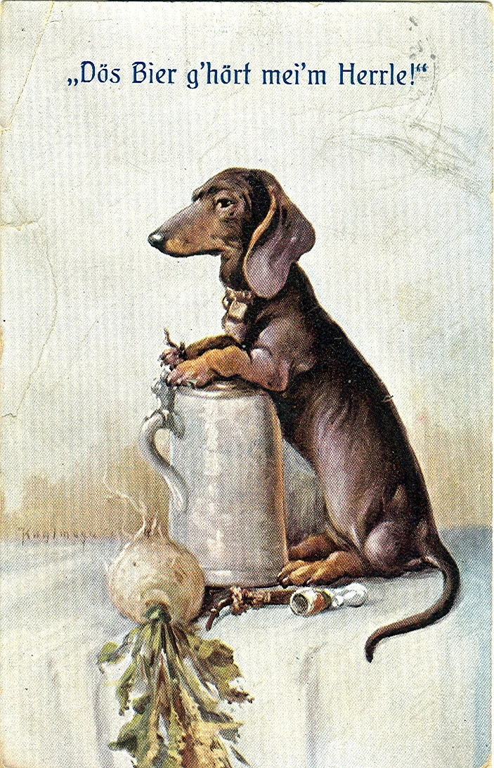 Dachshund