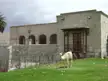 White alpaca on a green lawn at the Goyeneche House in Arequipa, featuring a stone building with arched windows.