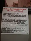 Close-up of a museum sign explaining how extinct animals' bones are prepared in a fossil lab