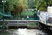 A slender man with white hair in a light blue shirt walking across a green metal bridge over a rushing river