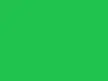 A minimalist desktop wallpaper 4k featuring a solid, uniform green background.