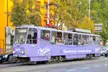 A purple Milka-branded tram with passengers on a city street past a yellow building and green trees.