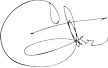 Cher signature in black ink on a white background, fine line tattoo inspiration.