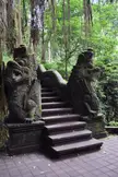 Nāga dragon sculptures flanking stone stairs in a lush forest with hanging roots.