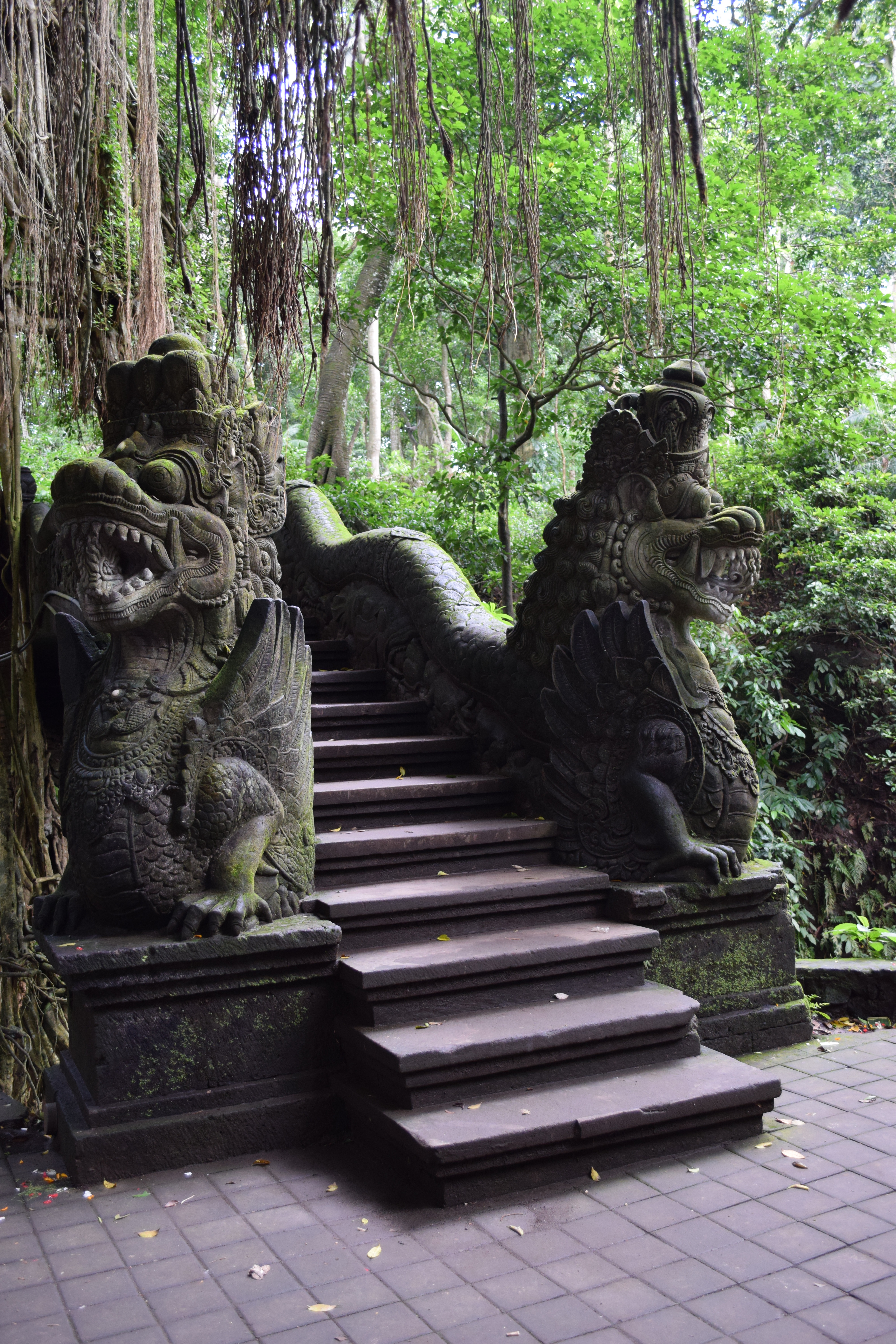 Nāga