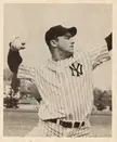 Newark Bears (International League) players