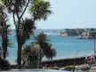 Torbay palms in the foreground with a view of Paignton and the blue ocean from Torquay