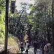 Back view of a group of Japanese girls in casual jackets walking up a wooded forest path past a signpost.