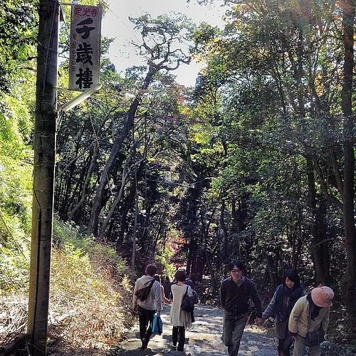 懐かしい千歳楼の看板。 それにしても風邪気味に石段はキツイ。