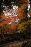 Autumn landscape with red and yellow trees overlooking a covered seating area and people in dark clothing