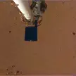 Discovery Program
