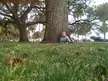 A child with brown hair in a blue and white striped shirt leaning against a large tree trunk on the grass