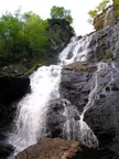 Grey Mares Tail 2