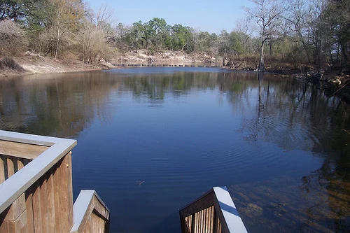 Troy Springs State Park (Lafayette County, FL)