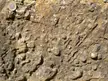 Sedimentology