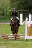 A woman in athletic wear and a black helmet jumping a brown horse over a hurdle in a grassy field