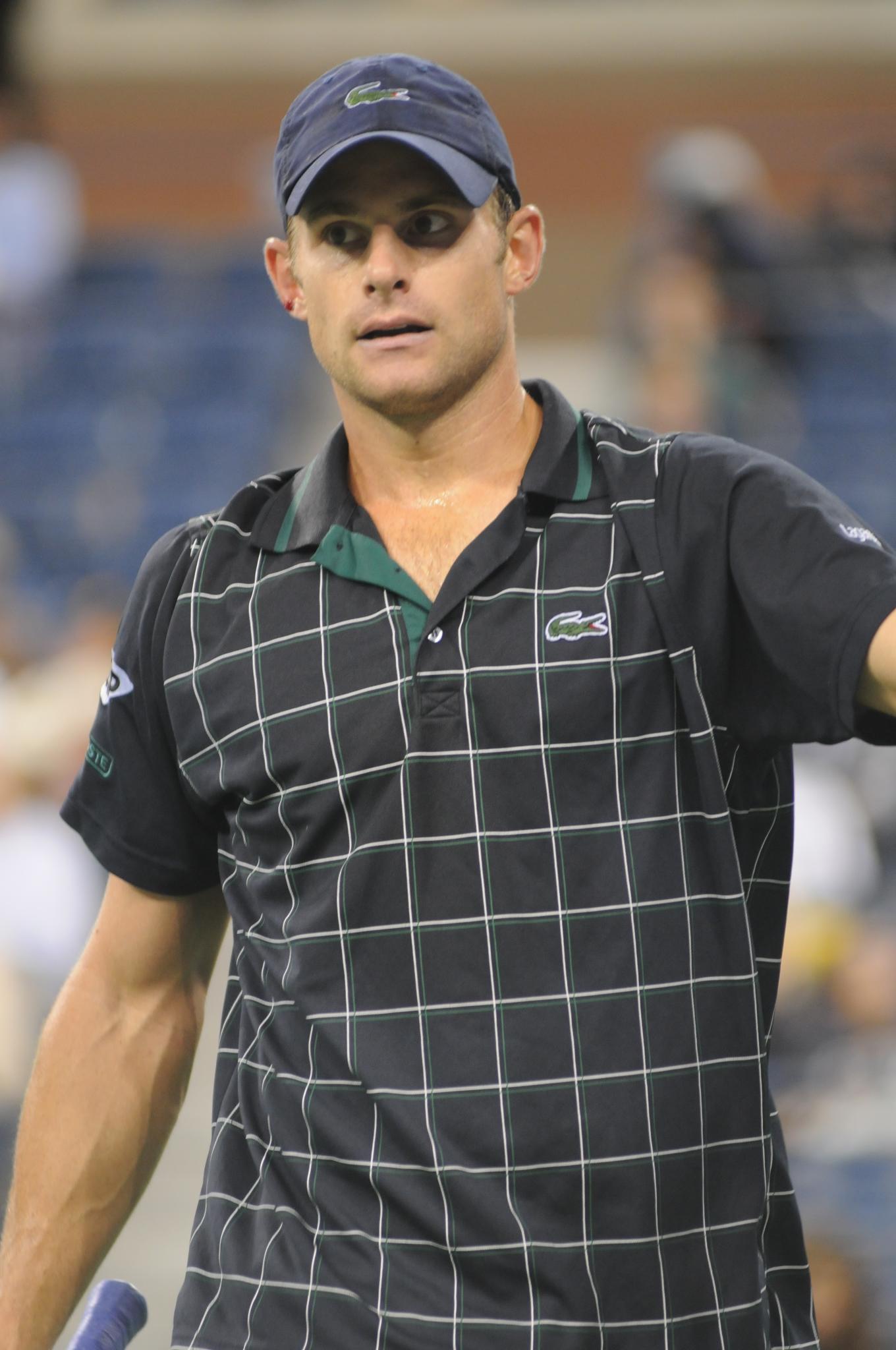 Andy Roddick reached the finals of the 2009 Wimbledon