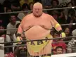 All Asia Tag Team Champions
